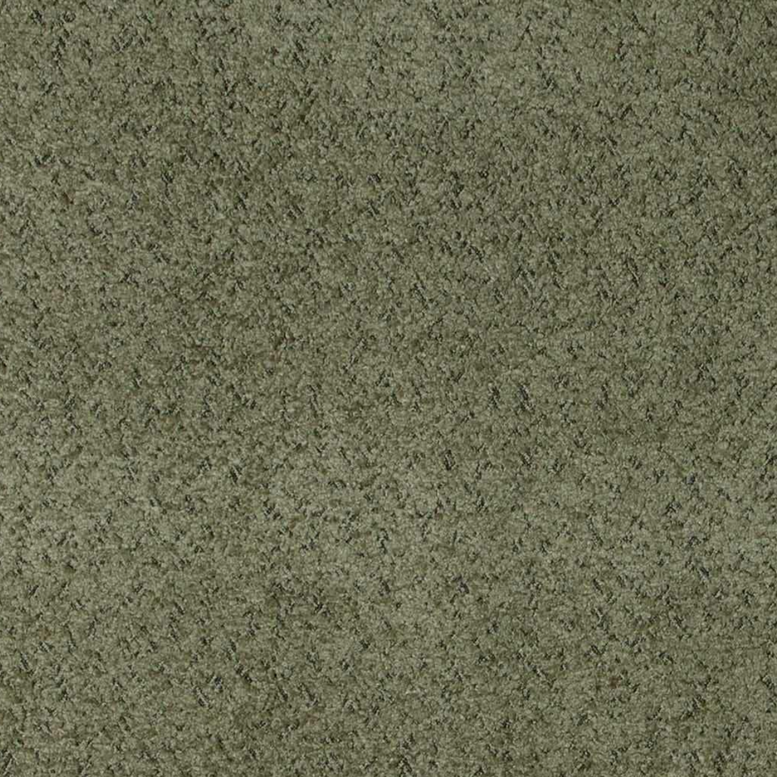 Dido Taupe