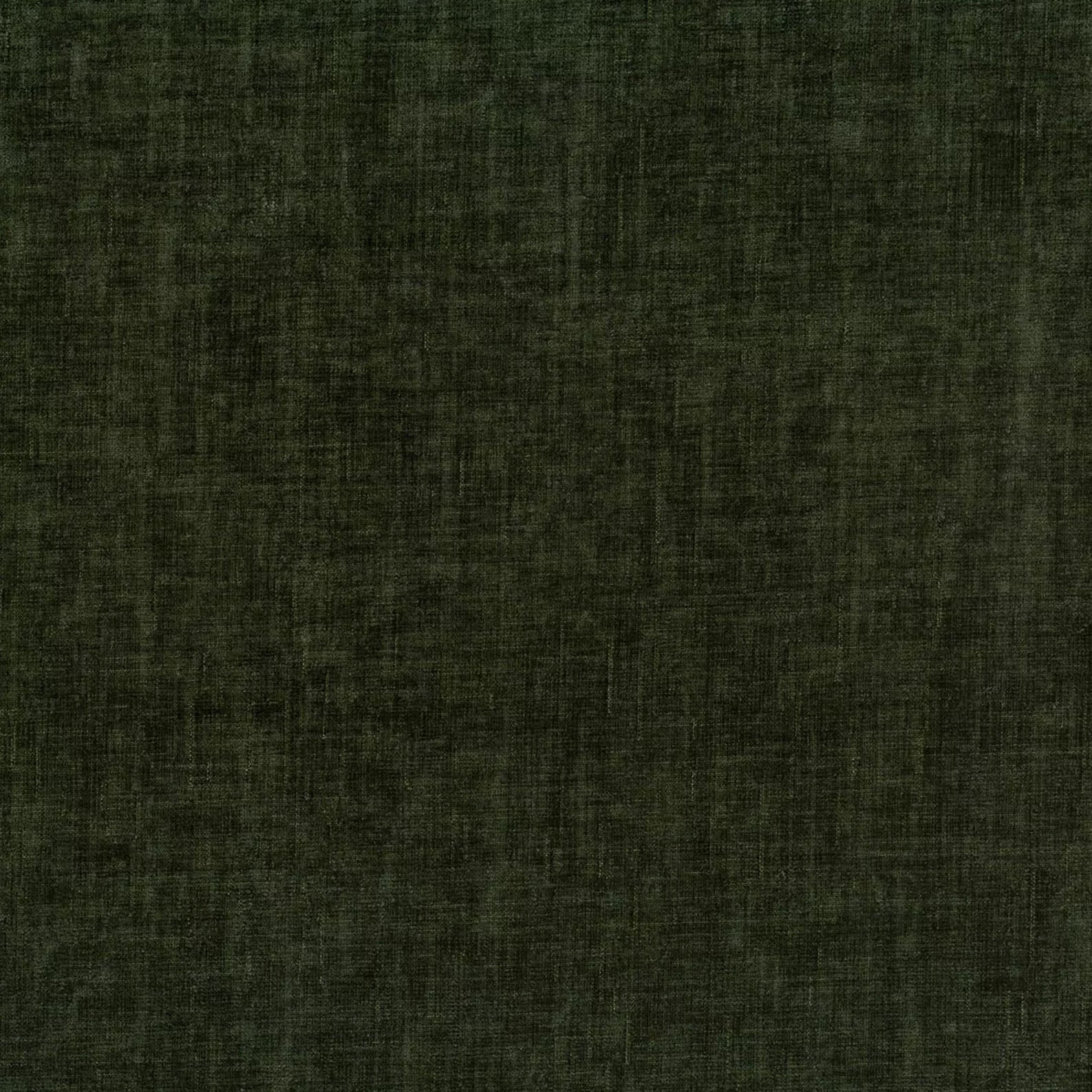 Dion Olive